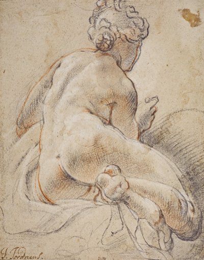 Female Nude, Seen from the Back by Jacob Jordaens